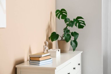 Oturma odasının modern iç mekanı. Çekmecelerin üstündeki saksıda tropik canavar yaprakları var. Yakın plan.