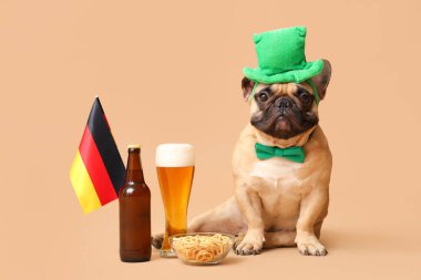 Yeşil şapkalı şirin Fransız bulldog, bir bardak bira, bej arka planda oturan Almanya bayrağı ve krakerleri. Ekim Festivali Kutlaması