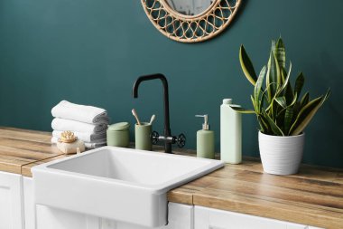 Lavabo, ev bitkisi ve banyo aksesuarları banyoda yeşil duvarın yanında.