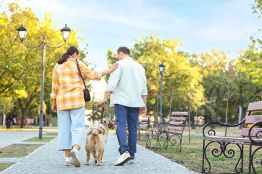 Avustralyalı çoban köpeği olan genç bir çift parkta yürüyor.