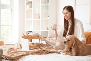 Genç mutlu kadın ve dizüstü bilgisayarı olan sevimli Cocker Spaniel köpeği evde yeşil çay içiyorlar.