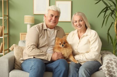 Evdeki koltukta oturan sevimli Pomeranya köpeğiyle mutlu son sınıf çifti