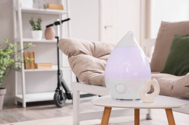 Oturma odasında vazo ile hava nemlendirici, yakın plan.