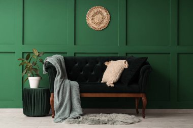 Yastıklı battaniye yeşil duvarın yanındaki şık koltukta.