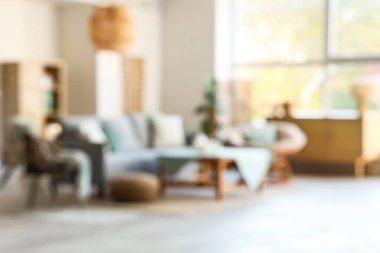 Koltuğu, koltuğu ve nane minderiyle oturma odasının bulanık görüntüsü.