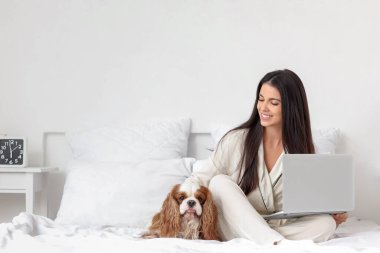 Yakışıklı, genç bir kadın. Kral Charles Spaniel ve dizüstü bilgisayarı evde, yatağında oturuyor.