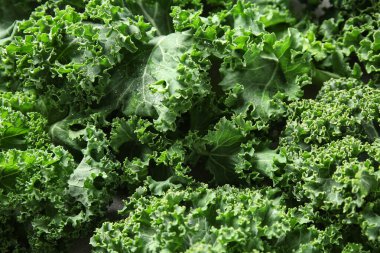 Arka plan olarak taze lahana dokusu, yakın plan.