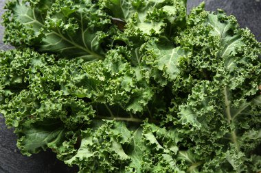 Siyah arka planda taze lahana yaprakları.