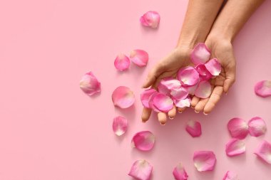 Pembe arka planda güzel gül yaprakları olan kadın elleri