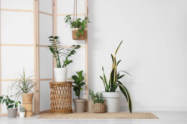 Yeşil bitkilerle kaplı bir masa ve odada ışık duvarının yanında katlanan bir ekran.