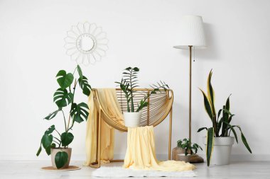 Koltuğu, lambası ve yeşil bitkileri olan ışık odasının içi