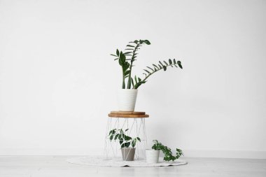 Odasında yeşil bitkiler olan bir masa.