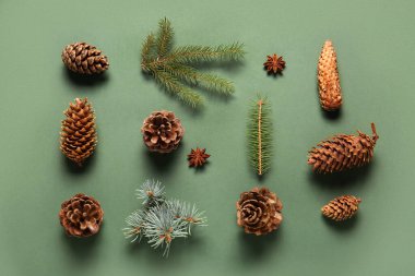 Çam kozalakları köknar dalları ve yeşil arka planda yıldız anason.