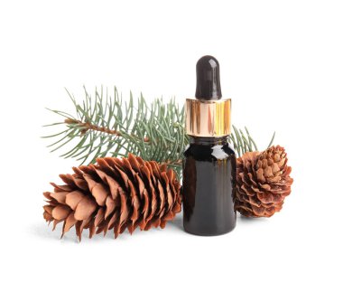 Çam kozalaklı bir şişe yağ ve beyaz arka planda köknar dalı.