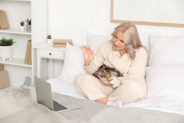 Pijamalı, tatlı kedili ve dizüstü bilgisayarlı güzel olgun bir kadın evde yatakta sohbet ediyor.