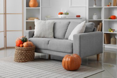 Oturma odasının içi gri kanepe, raflar ve farklı balkabaklarıyla dolu sepetlerle dolu.