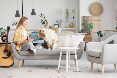 Pikabı olan genç bir kadın ve evdeki kanepede oturan Avustralyalı çoban köpeği.