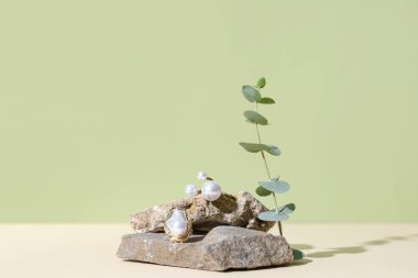 Renkli arka planda zarif yüzüklere ve okaliptüse sahip taşlar.