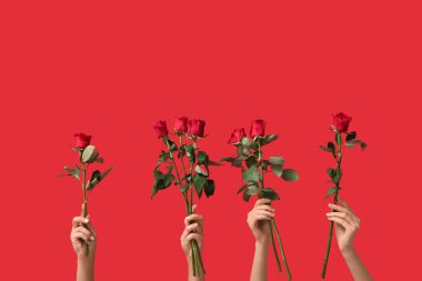 Renkli arka planda güzel kırmızı gülleri olan kadın elleri. Sevgililer Günü kutlaması