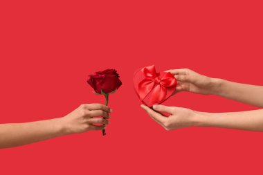 Güzel kırmızı gül ve renk arkaplanlı hediye kutusu olan kadın elleri. Sevgililer Günü kutlaması