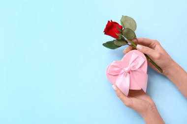 Güzel kırmızı gül ve mavi arka planda hediye kutusu olan kadın elleri. Sevgililer Günü kutlaması