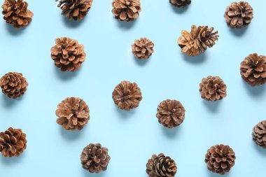 Mavi arkaplanda birçok çam kozalağı