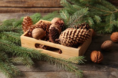 Tahta arka planda çam kozalakları, cevizler ve köknar dallarıyla dolu bir kutu.