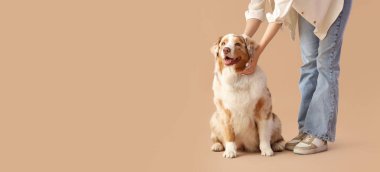 Genç kadın ve Avustralyalı çoban köpeği bej arka planda ve metin için yeri var.