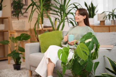 Evdeki çiçeklerin yanındaki kanepede oturan çay içen genç bir kadın.
