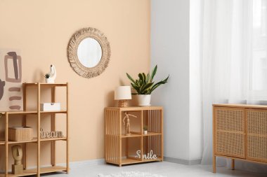 Raf üniteli modern oturma odası, ev bitkisi ve ayna.