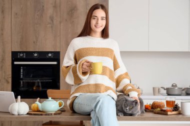 Bir fincan çay ve tatlı İngiliz kedisiyle sonbahar günü mutfakta oturan genç bir kadın.