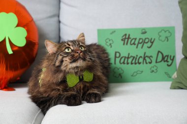 Balonlu papyonlu şirin kedi ve Aziz Patrick Günü kutlamaları için evdeki kanepede kartpostal.