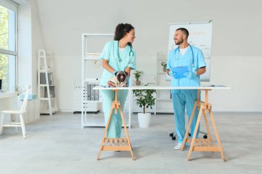 Klinikte köpeğiyle çalışan genç veterinerler.