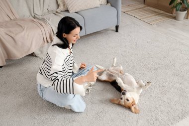 Güzel genç bayan evde sevimli Beagle köpeğini eğitiyor.
