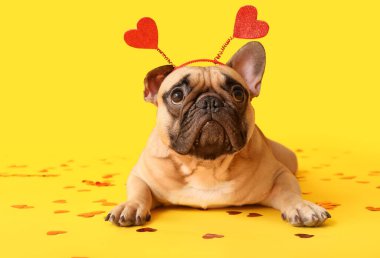 Sarı arka planda kalpleri ve konfetisi olan saç bantlı sevimli Fransız bulldog 'u. Sevgililer Günü kutlaması