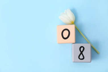 Küp takvimi, tarih 08 ve mavi arka planda güzel beyaz lale. Uluslararası Kadınlar Günü