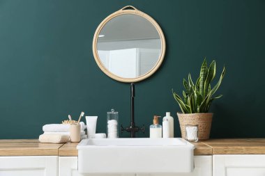 Banyo aksesuarları, lavabo ve bitkiler banyoda yeşil duvarın yanında.