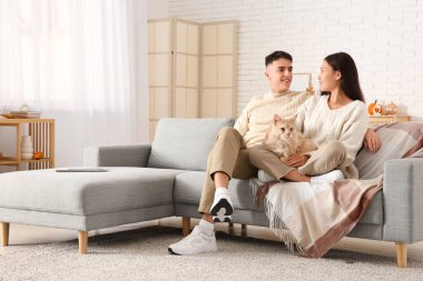 Oturma odasındaki kanepede oturan sevimli Maine Rakunu kedisiyle güzel genç bir çift.