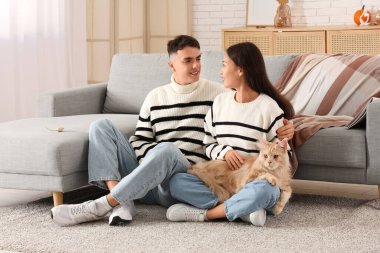 Tatlı Maine Rakunu kedisi olan genç ve güzel bir çift oturma odasında halının üzerinde oturuyor.