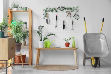 Işık duvarının yanındaki bahçe aletleri ve bitkiler.