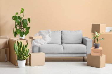 Gri kanepe, ev bitkileri ve karton kutularla dolu yeni bir oturma odası. Taşınma konsepti