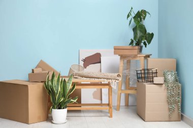 Ahşap masa, ev bitkileri ve mavi duvarın yanındaki karton kutular. Taşınma konsepti