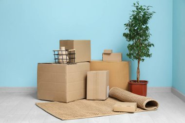 Mavi duvarın yanında rulo halı, çiçek ve karton kutular. Taşınma konsepti