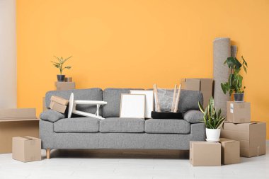 Gri kanepe, ev bitkileri ve karton kutularla dolu yeni bir oturma odası. Taşınma konsepti
