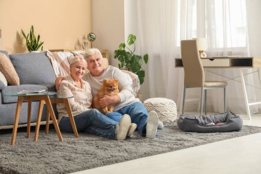 Pomeranya köpeğiyle evde oturan mutlu son sınıf çifti