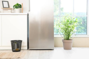 Mutfaktaki buzdolabının yanındaki çöp tenekesi.