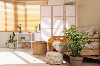 Oturma odasının içinde kanepe, sehpa ve katlanır ekran var.