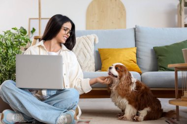 Dizüstü bilgisayarı olan güzel genç bir kadın ve tatlı şövalye Kral Charles Spaniel evde.