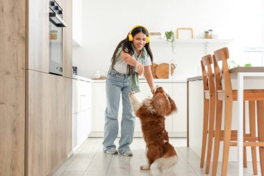 Kulaklıklı genç ve güzel bir kadın, sevimli şövalye Kral Charles Spaniel 'le evde oynuyor.