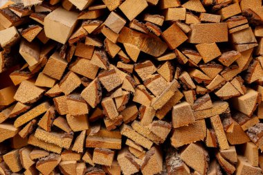 Arkaplan olarak birçok orman, yakın plan